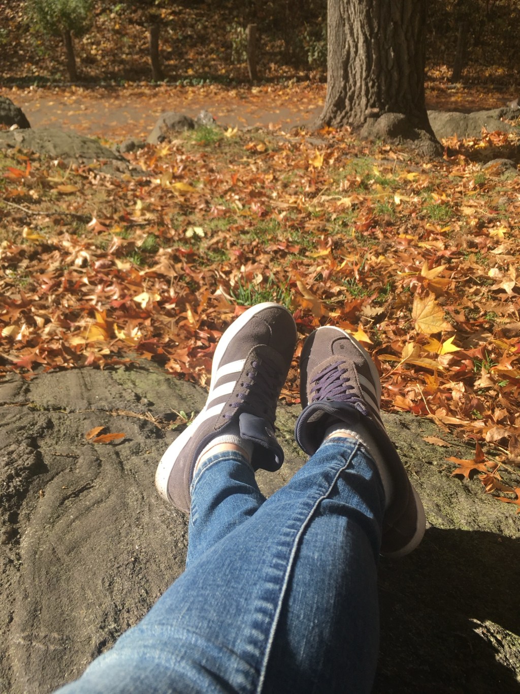 Why You Need Coziness In Your Life